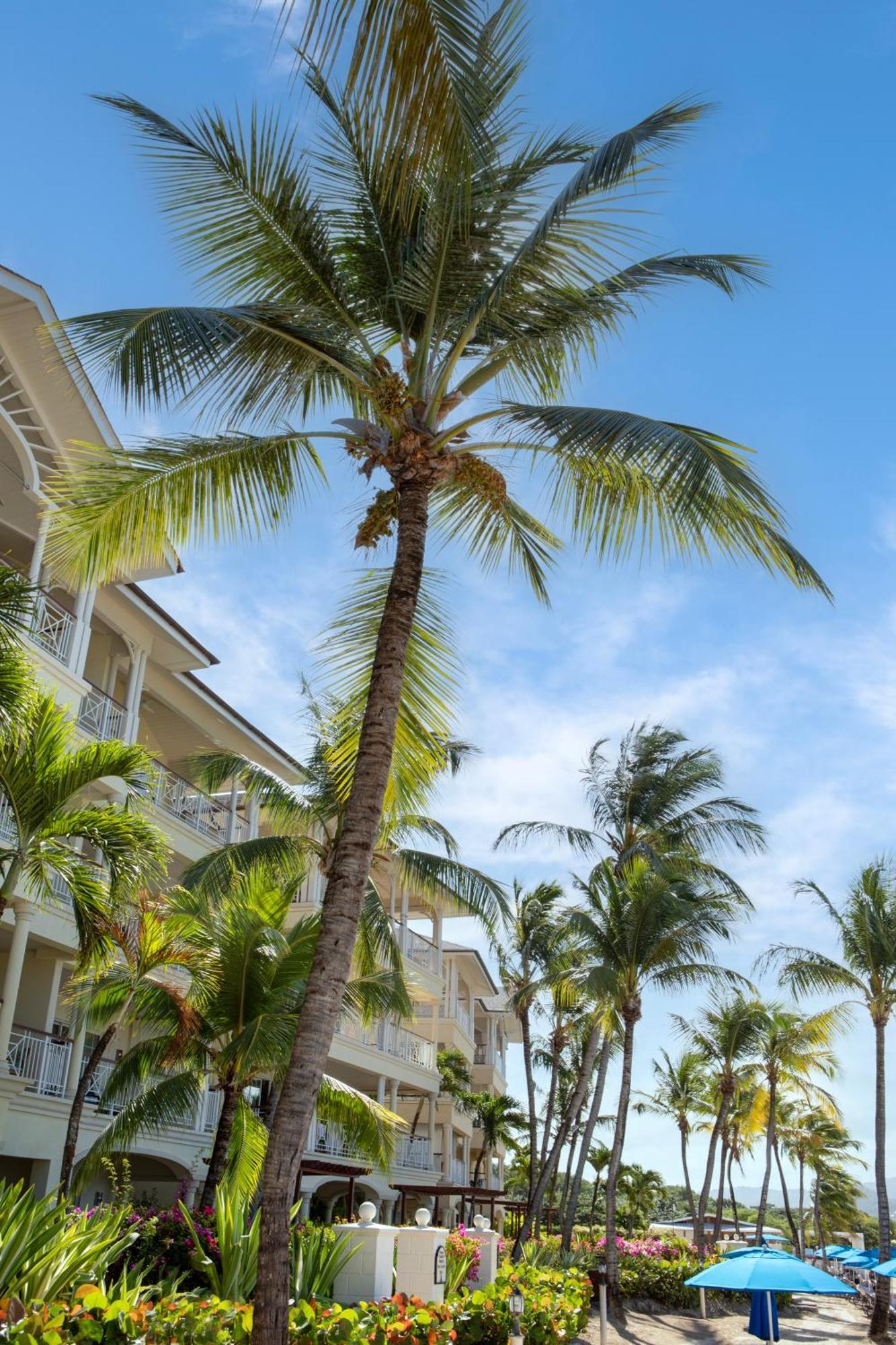 The Landings Resort And Spa - All Suites Gros Islet Exterior foto